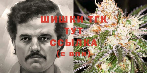 индика Баксан