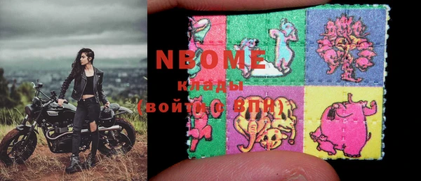 индика Баксан