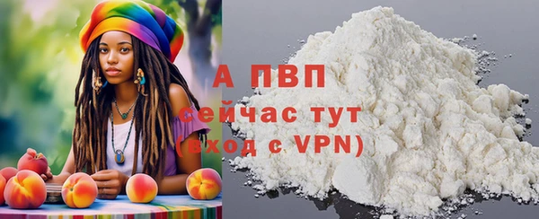 индика Баксан
