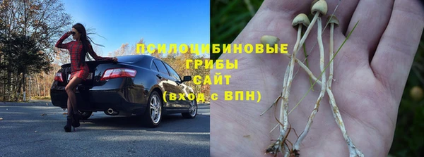 индика Баксан