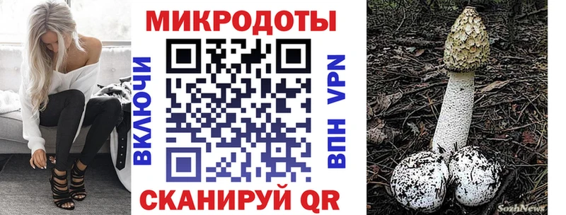 блэк спрут зеркало  Бавлы  Галлюциногенные грибы Cubensis 